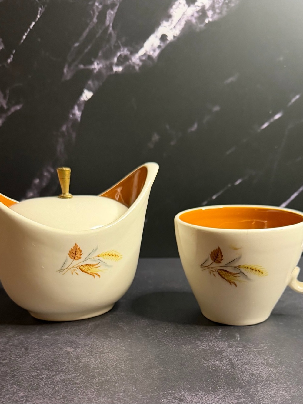 Vintage Taylor Smith & Taylor Sugar Bowl and Mug Autumn Harvest Pattern